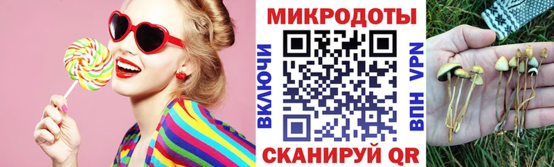 Галлюциногенные грибы мухоморы  сайты даркнета официальный сайт  Заполярный 